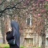 abraar_a